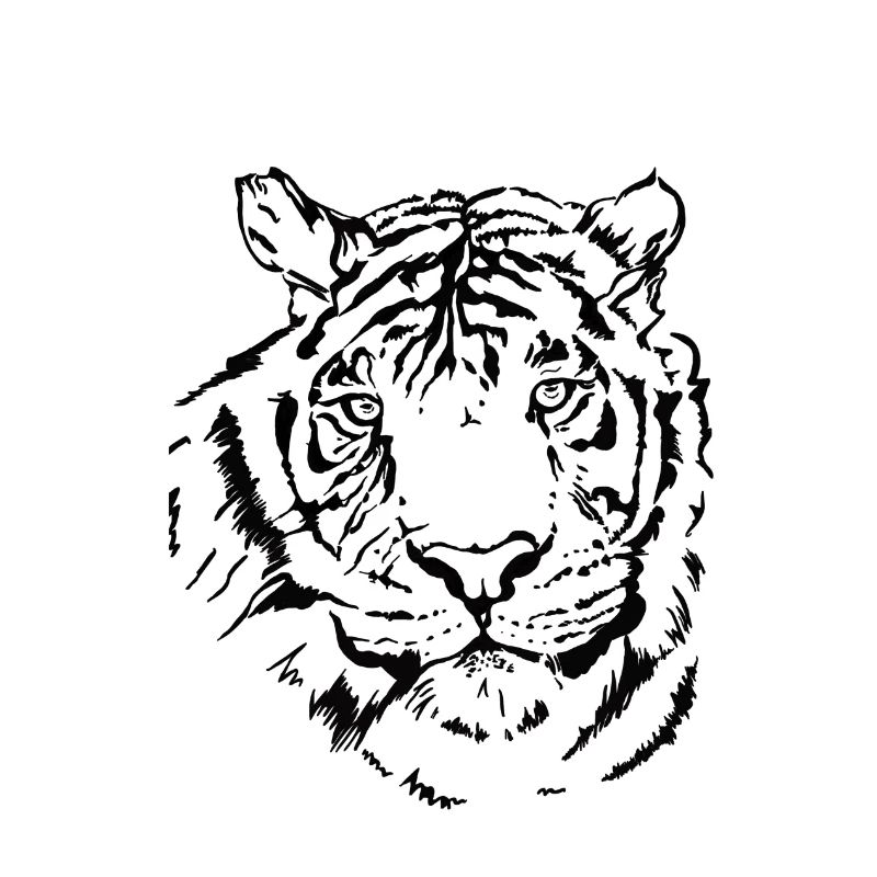 Hand-drawn tiger