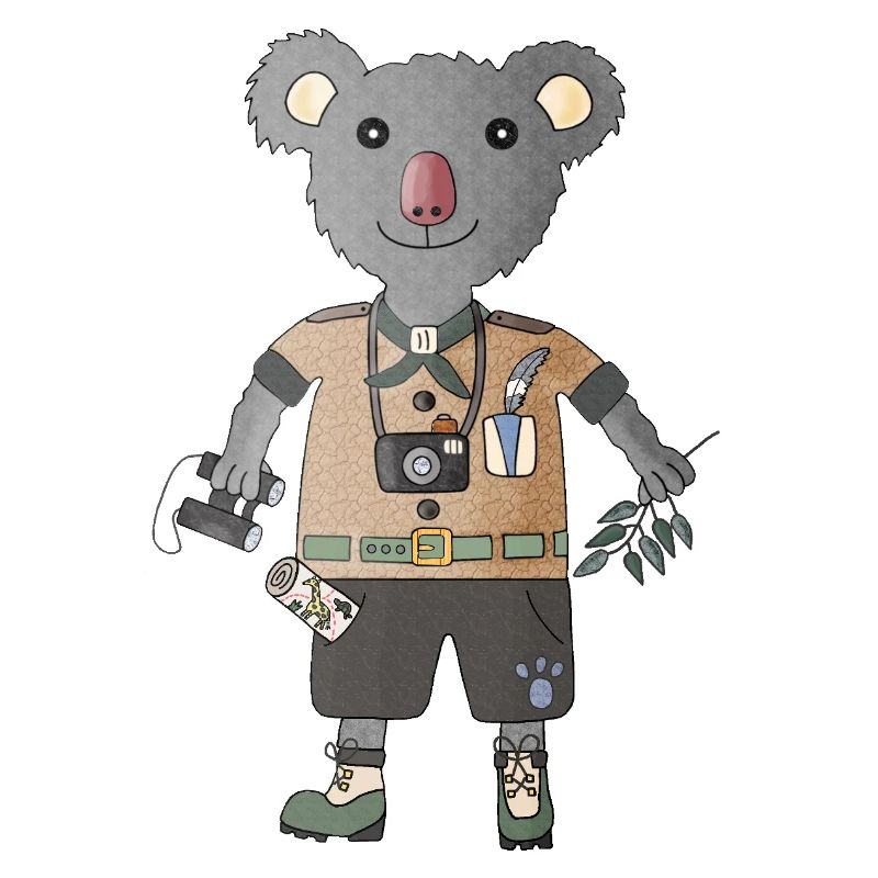 Koala Explorer Safari mit Eukalyptus
