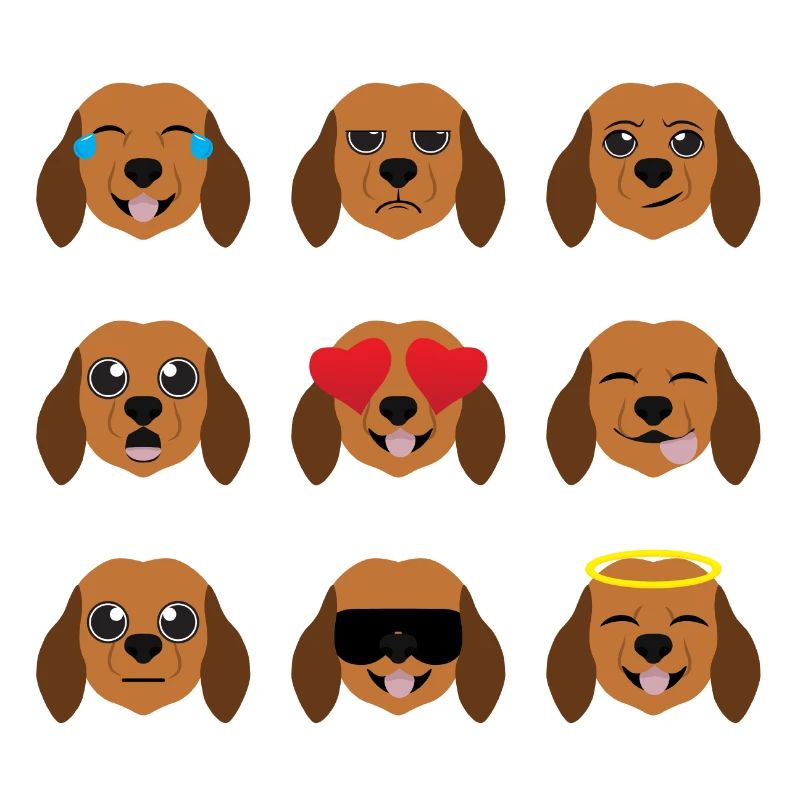 dachshund