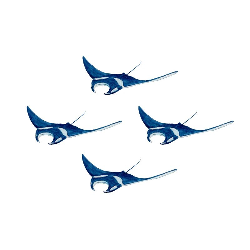 4 manta rays