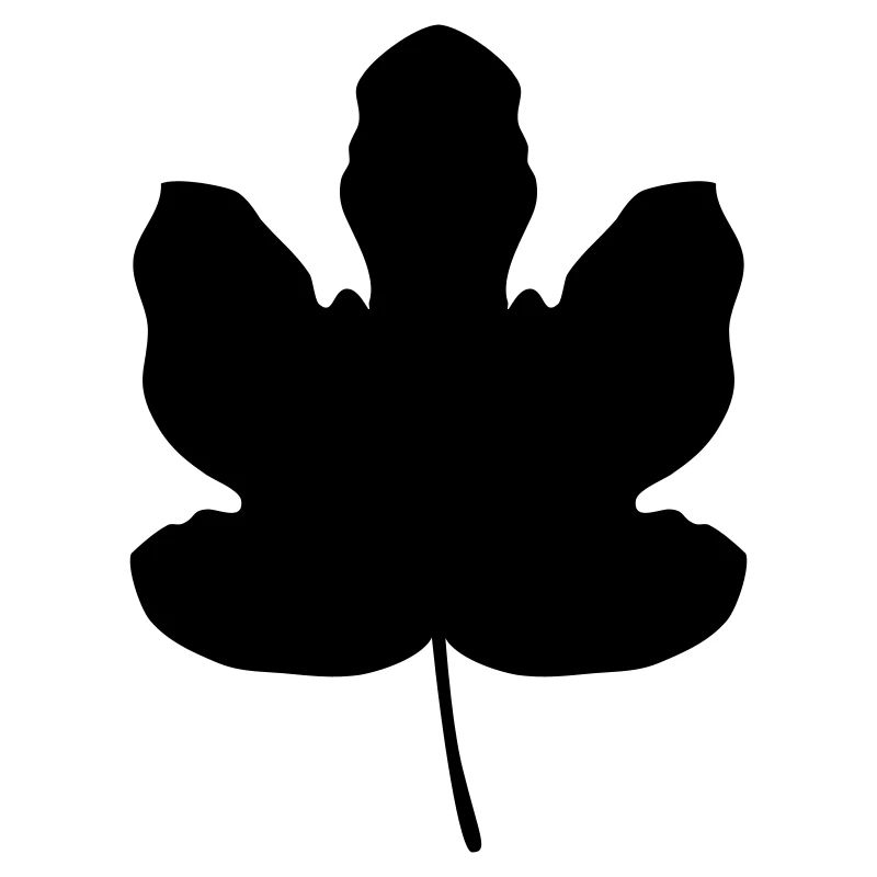 Fig Leaf Adam and Eve Leaf Tree Gift