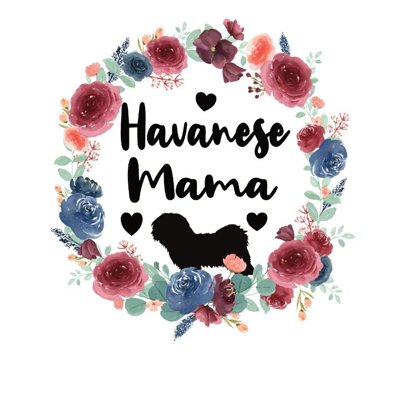 Havanese Mama propriétaire de chien Havanese amant