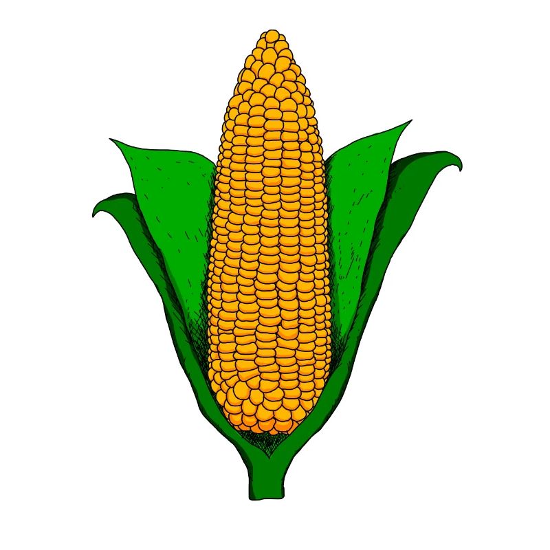Corn