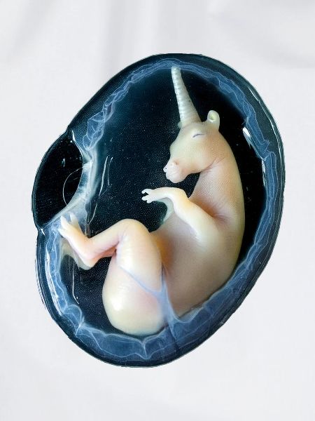 Einhorn-Embryo 3