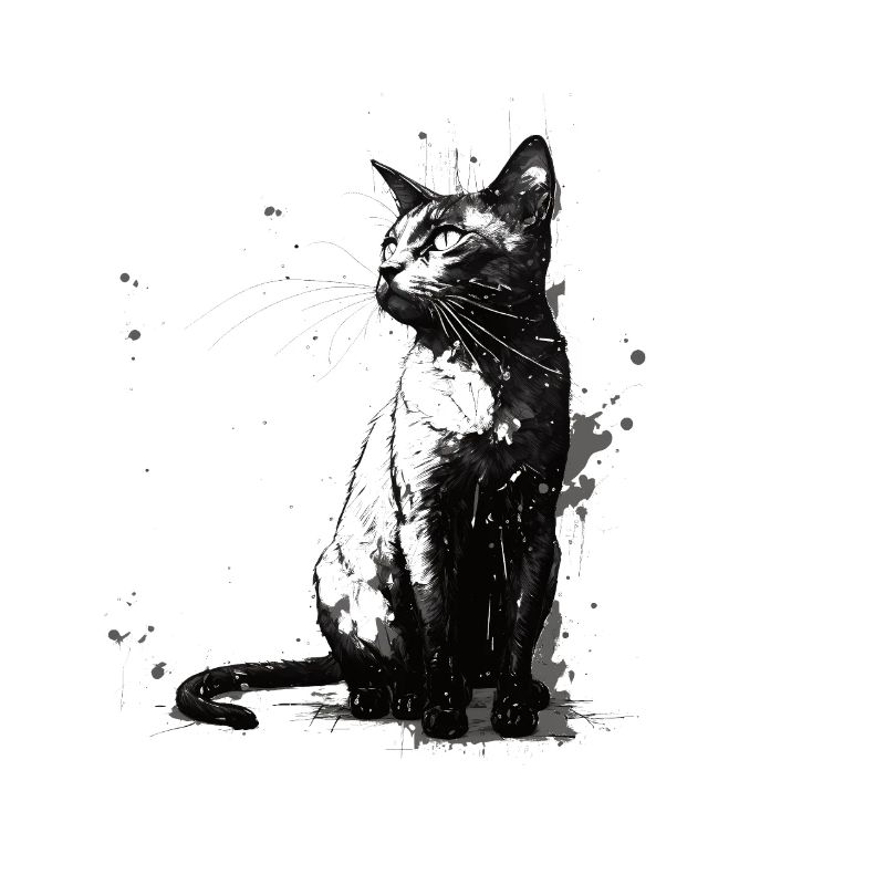 Cat Stencil White and Black