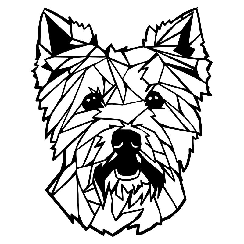 West Highland White Terrier