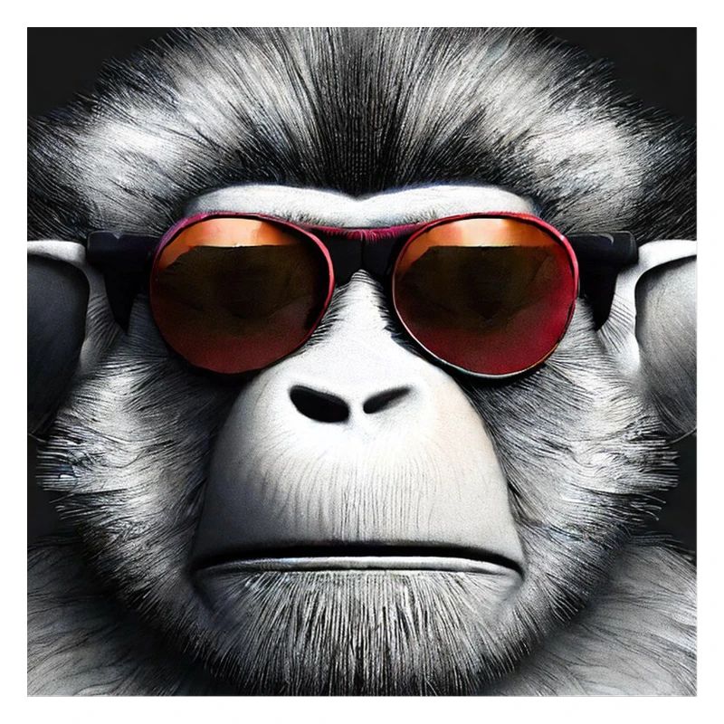 COOL MONKEY