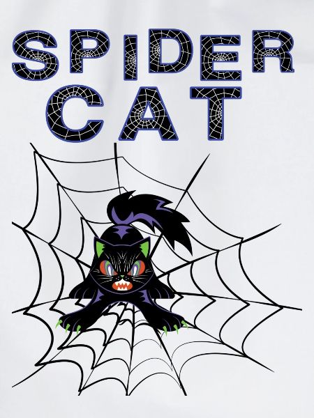 Spider Cat