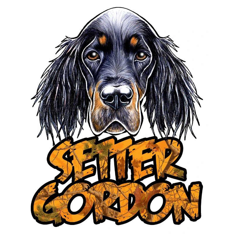 Setter Gordon CO