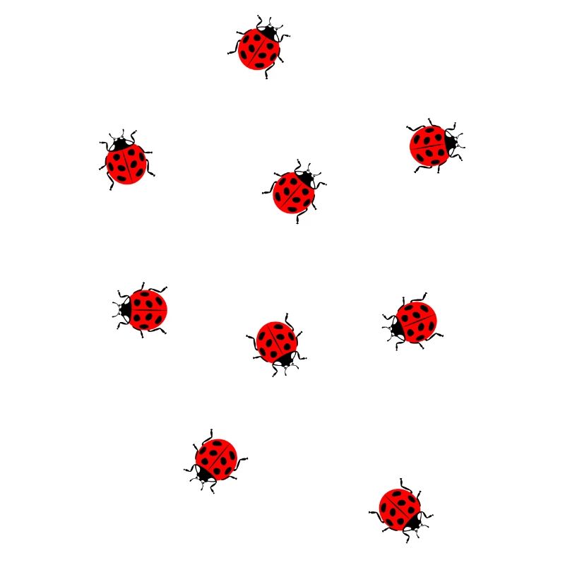 Many ladybugs summer