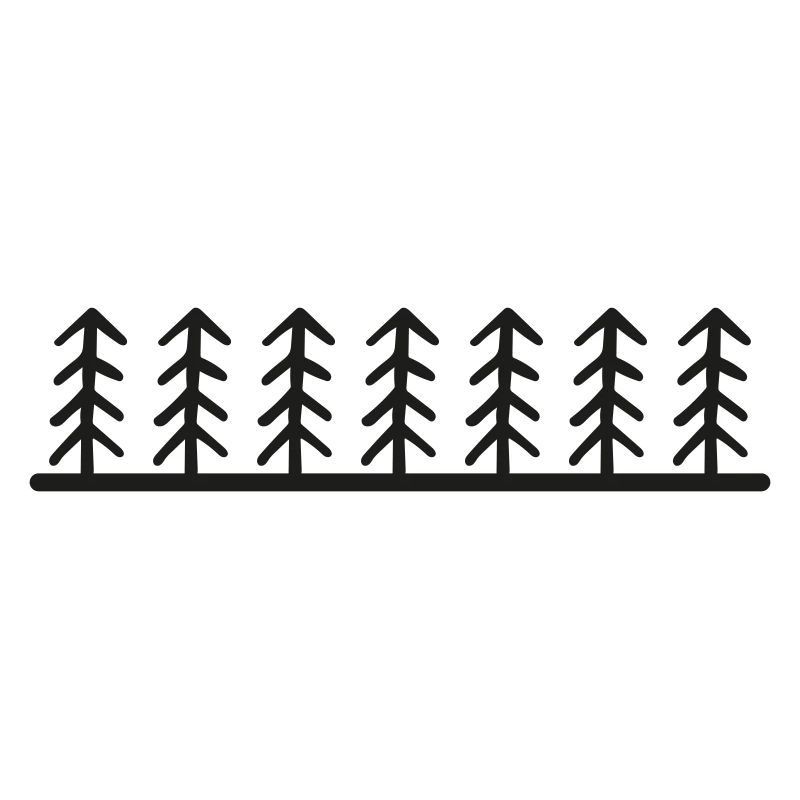 Forest Trees Landscape