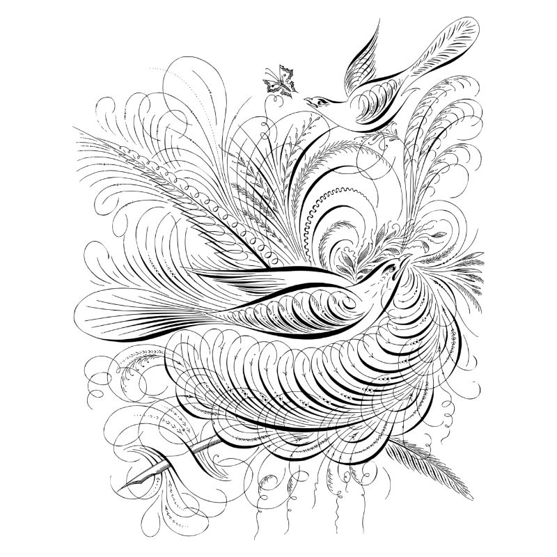 birds