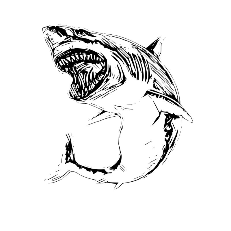 Requin
