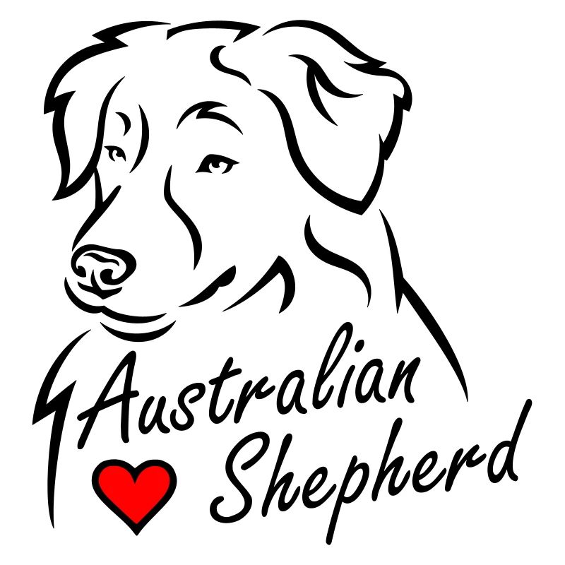 Australian Shepherd❤