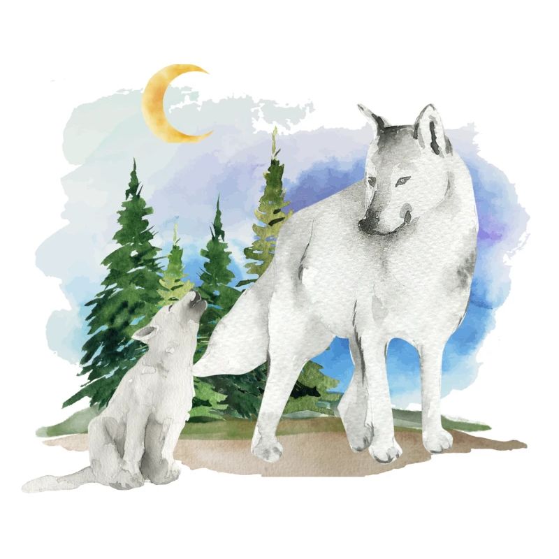 Wolf und Welpe