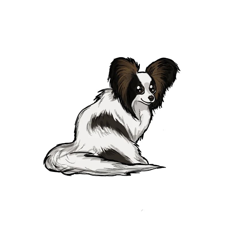 Papillon