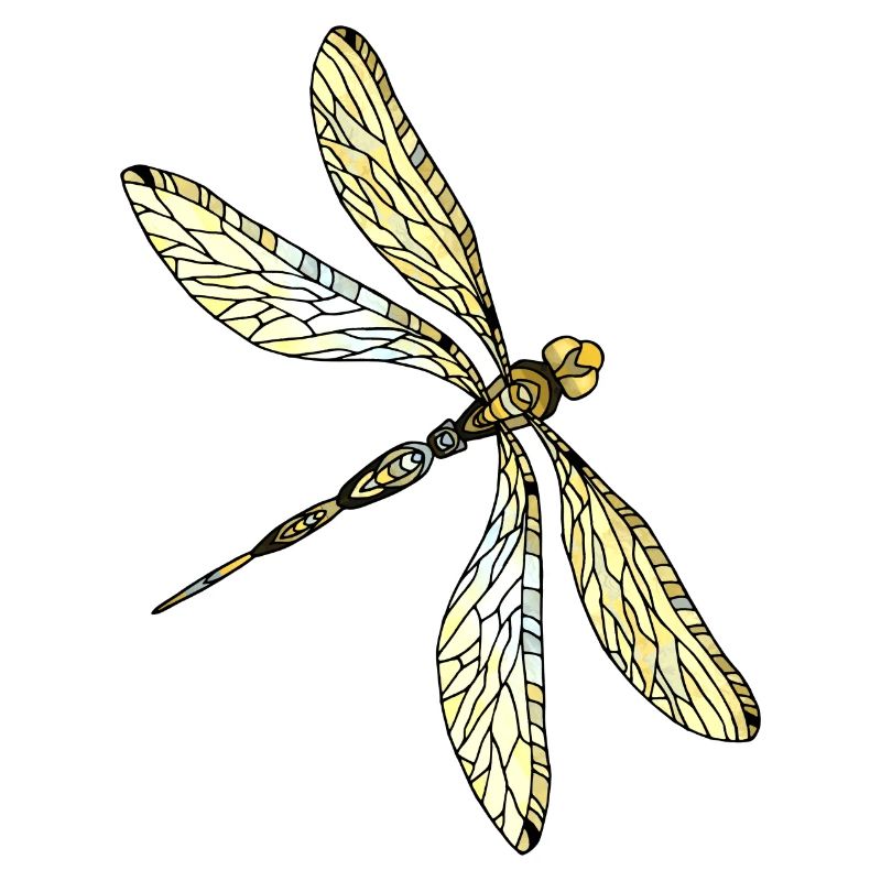 Libellule