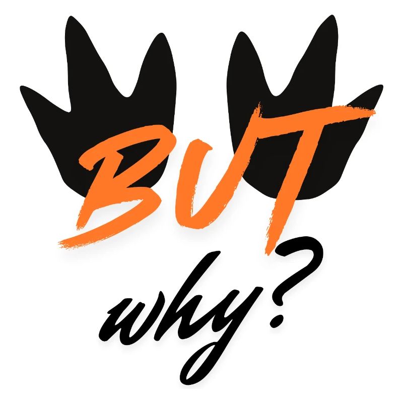 BUT Bold Leaf Font Design
