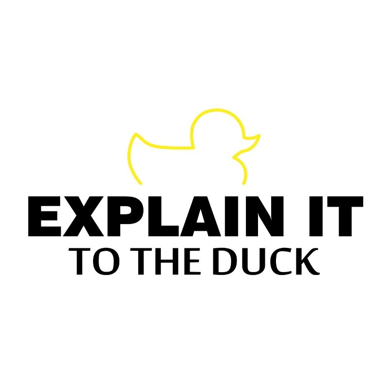 Expliquez-le au cadeau du programmeur de nerd de canard