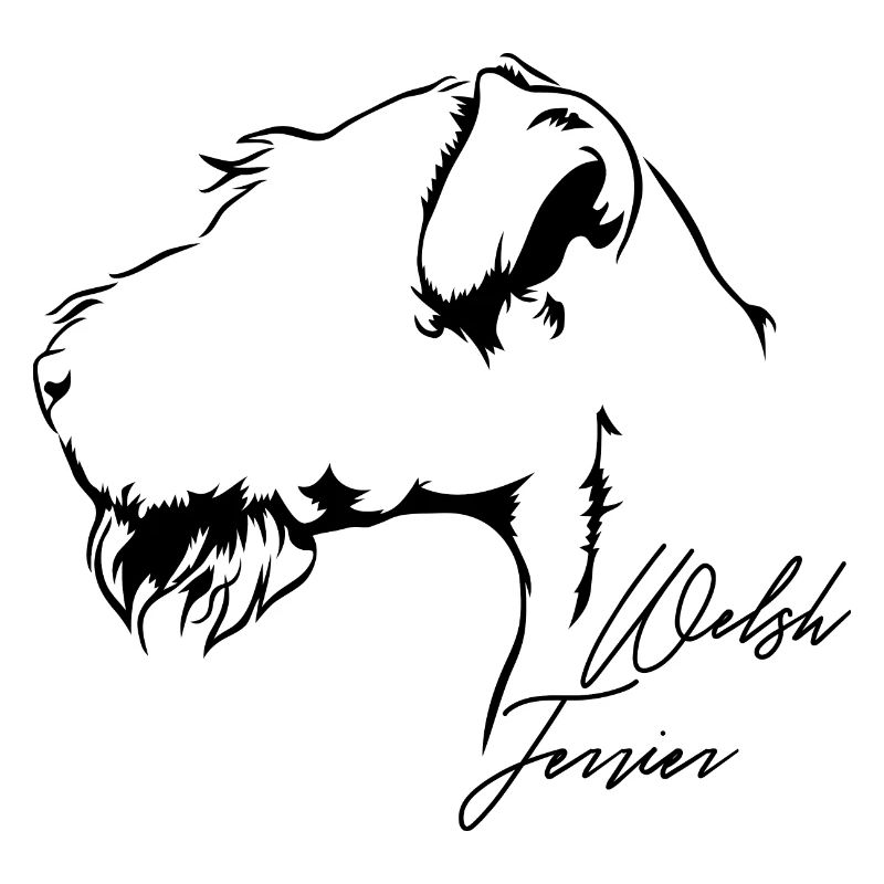 WELSH TERRIER Profil Chiens Chien Wilsigns