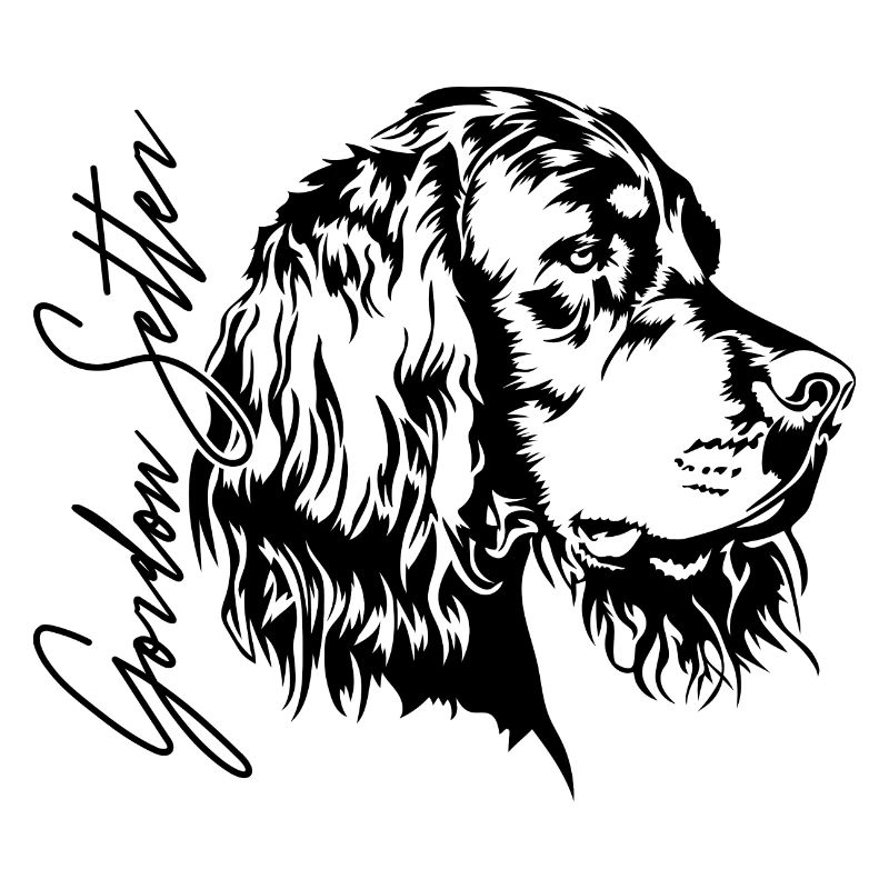 GORDON SETTER Wilsigns Jagdhund Jagdhunde Hunde