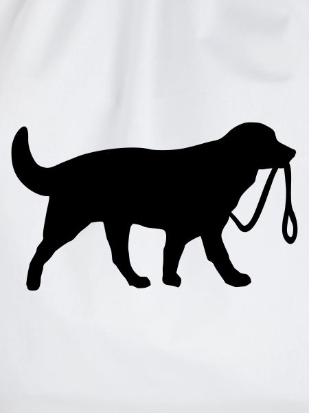 Dog with leash