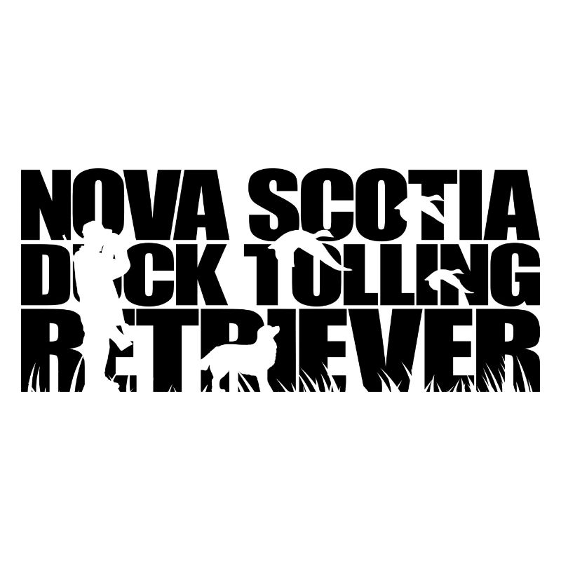 NOVA SCOTIA DUCK TOLLING RETRIEVER Jagd Wilsigns