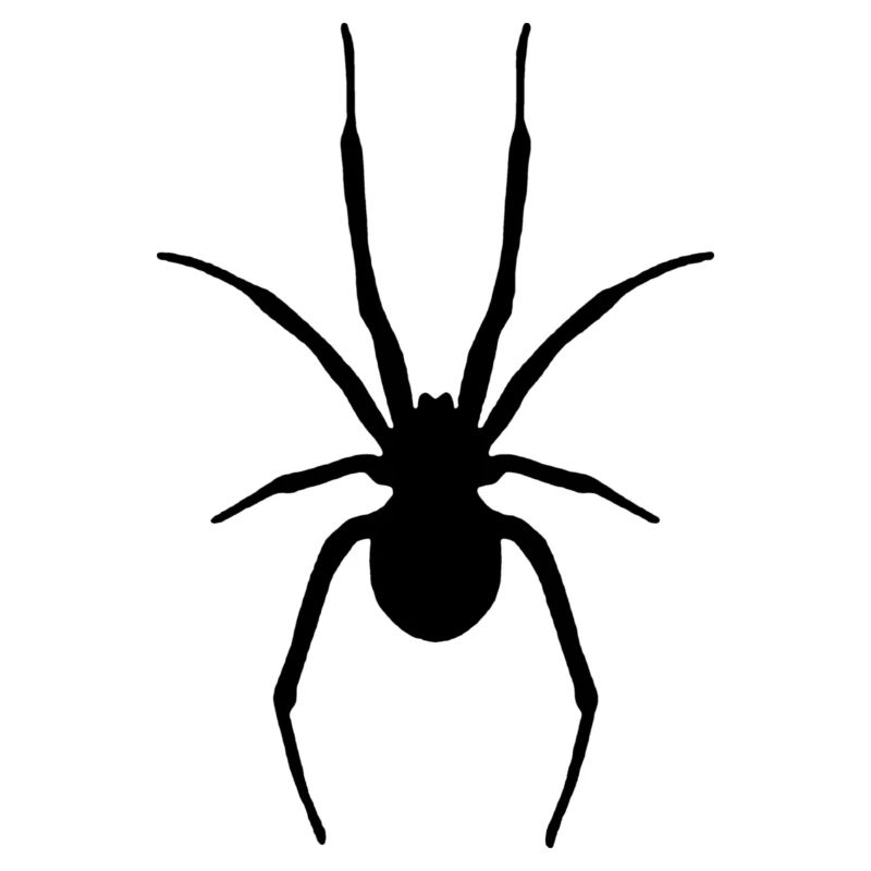 Araignée