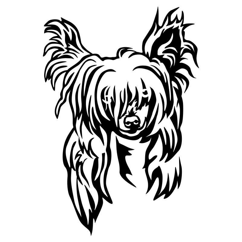 Chinese Crested Head