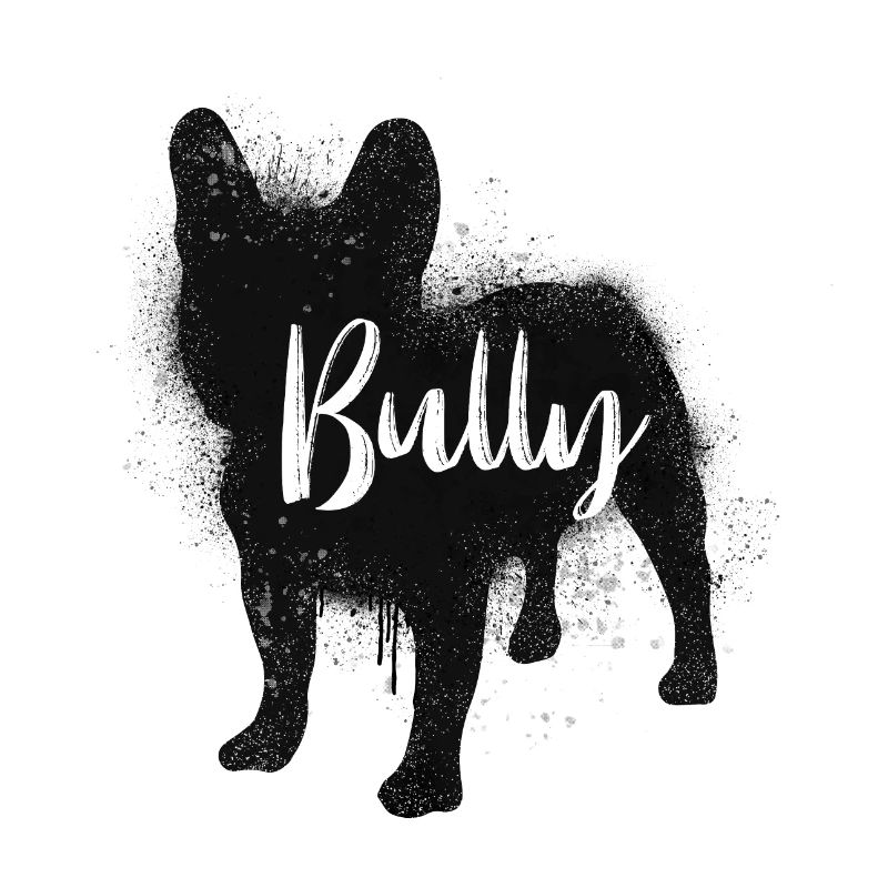 Bully schwarz
