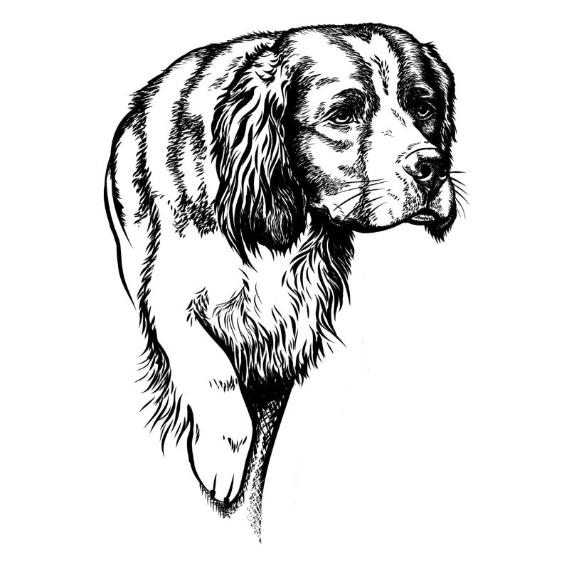 IRW Setter above