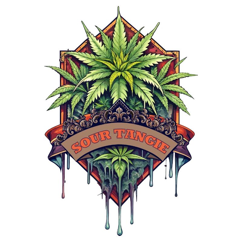 Sour Tangie