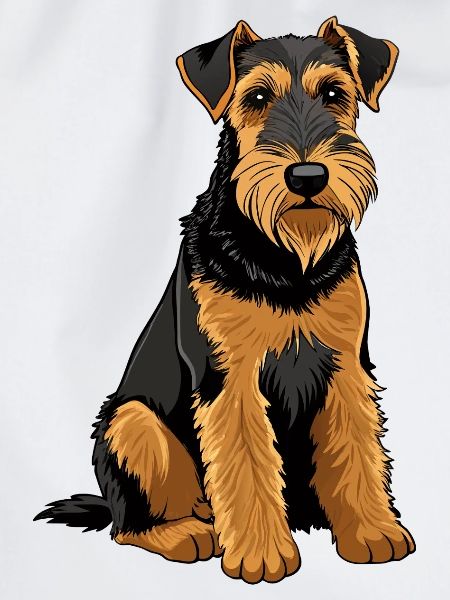 Airedale Terrier-Hund