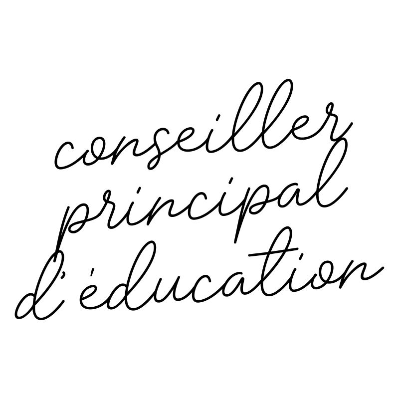 Conseiller principal d'éducation