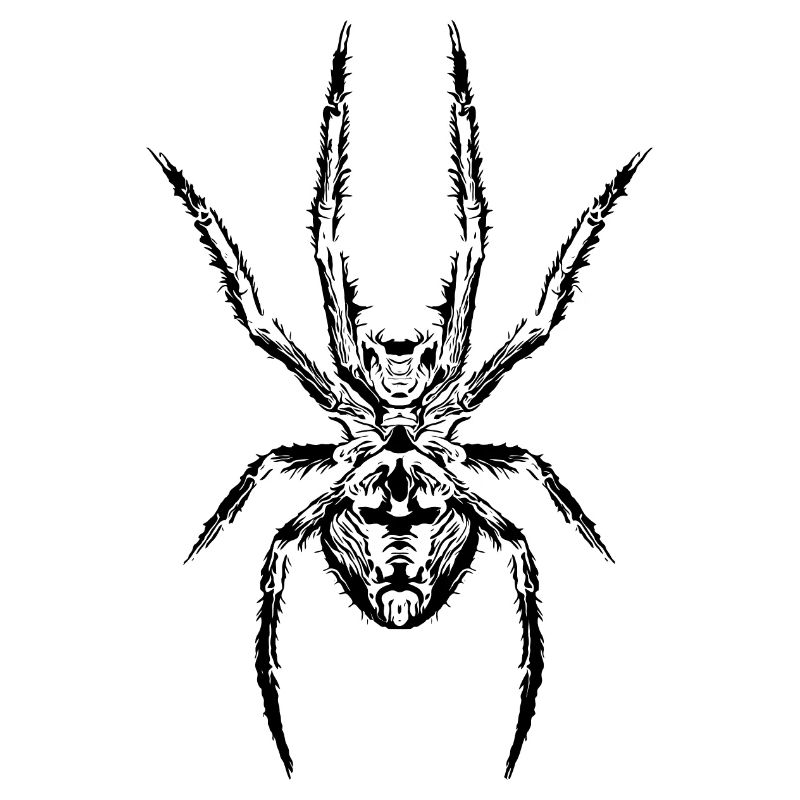 Le pouvoir de l’araignée : le symbole de la force et du mystère