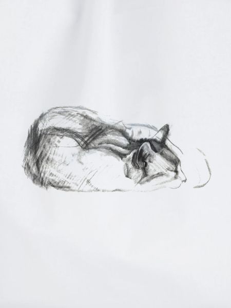 Katze schlafend