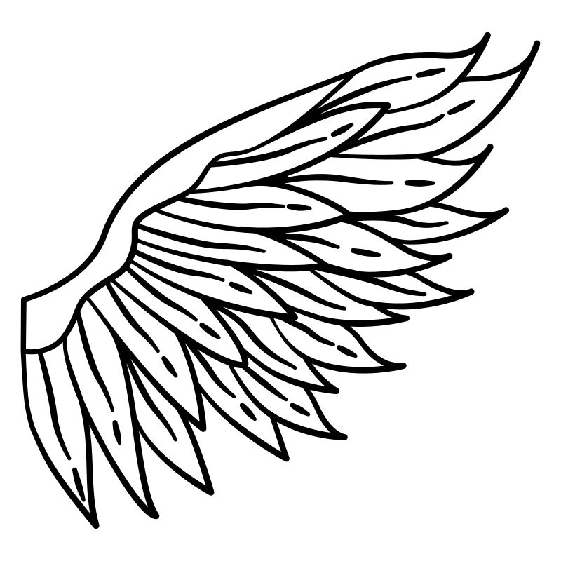 Left Wing icon