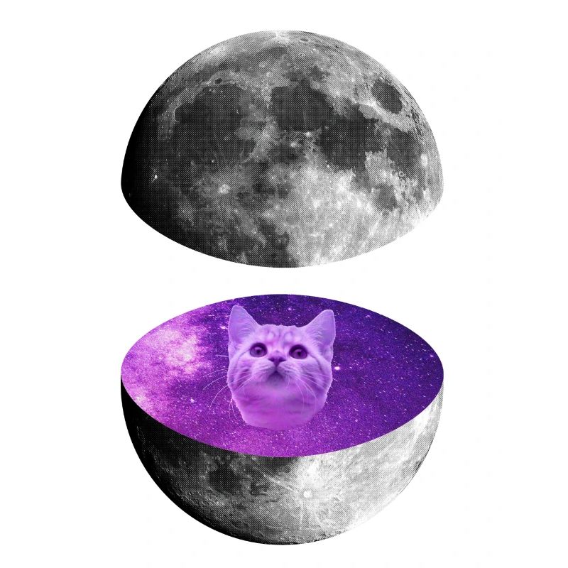 Galaxy Moon Cat