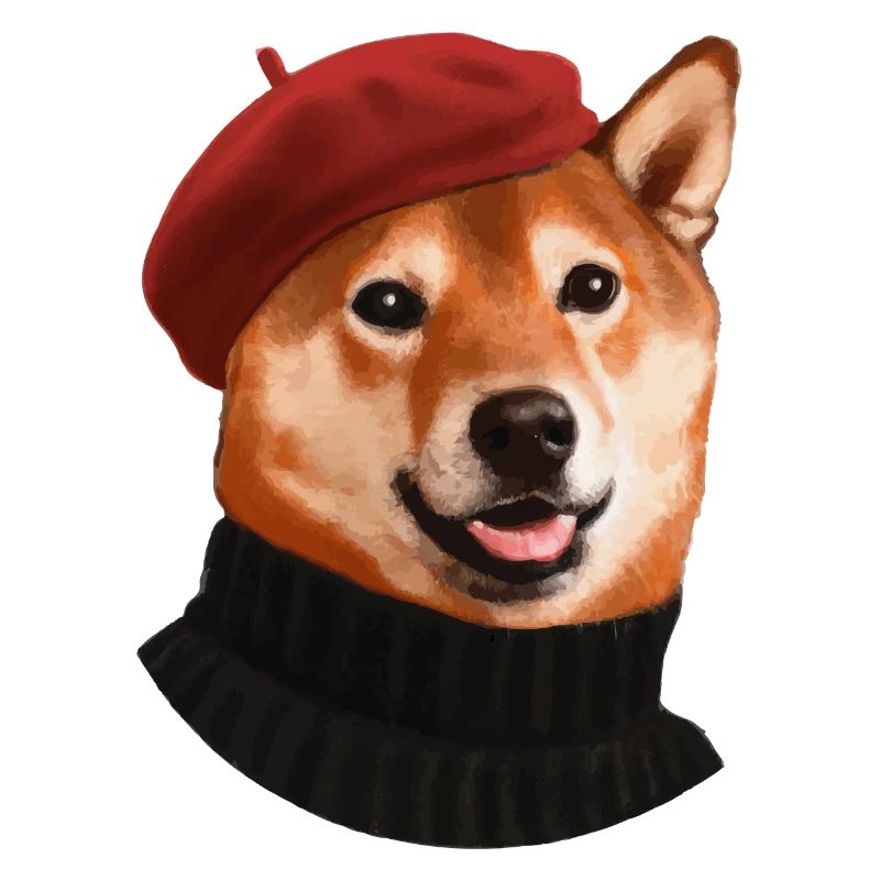 Chien Shiba avec casquette et pull