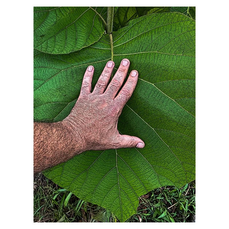 Die Hand am Leben