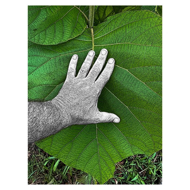 Die Hand am Leben