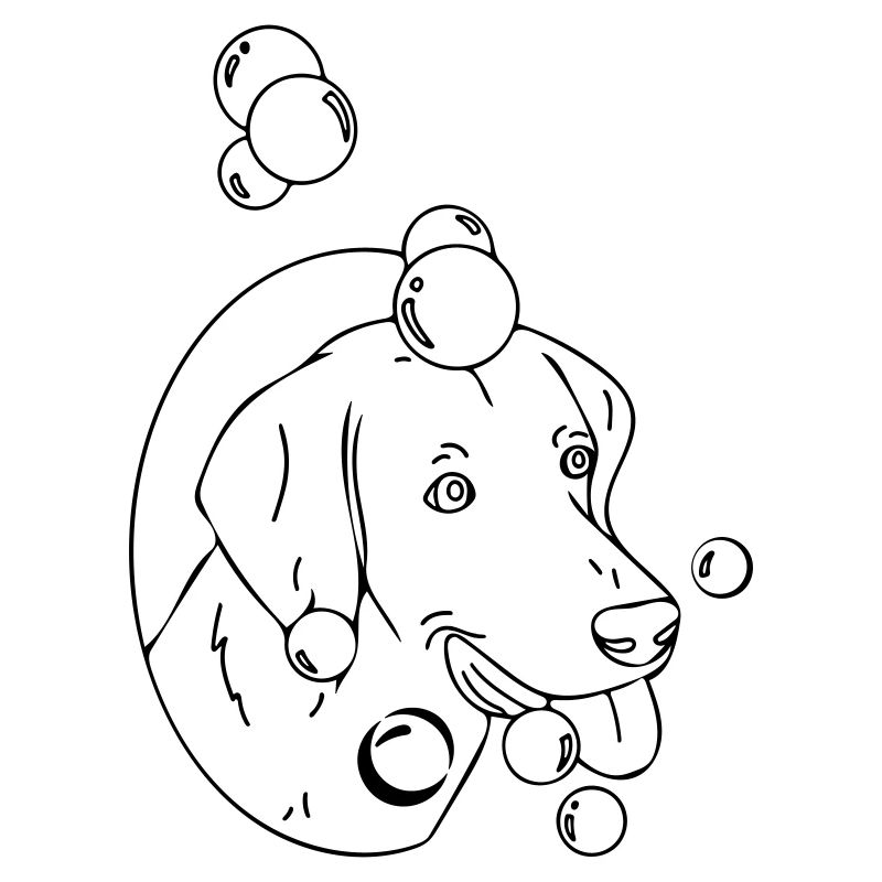 Hundewasser