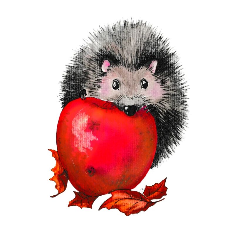 Hérisson à la pomme
