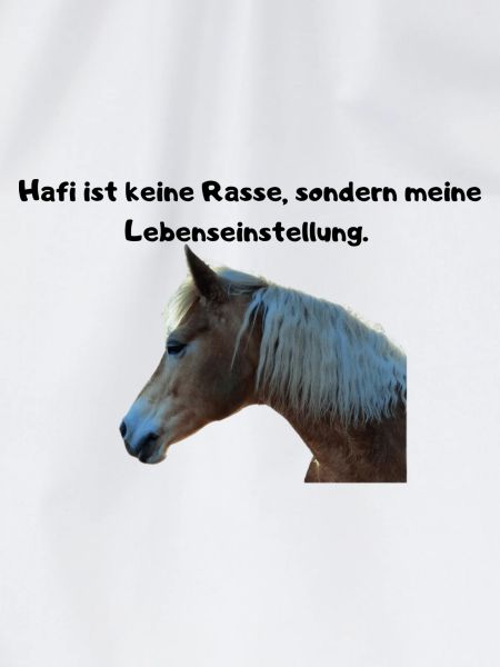 Haflinger Lebenseinstellung