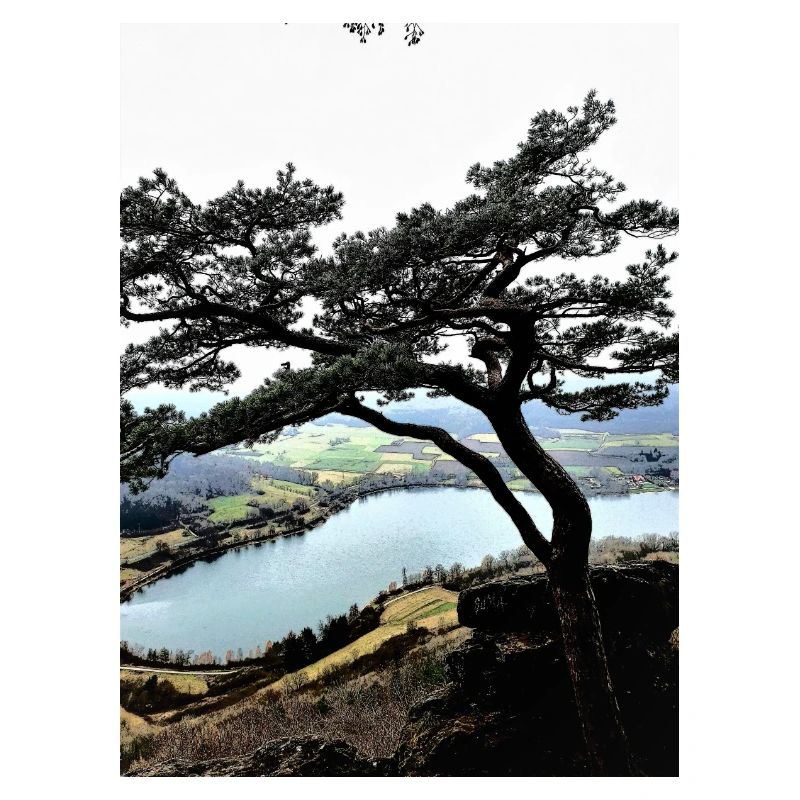 Ausblick See
