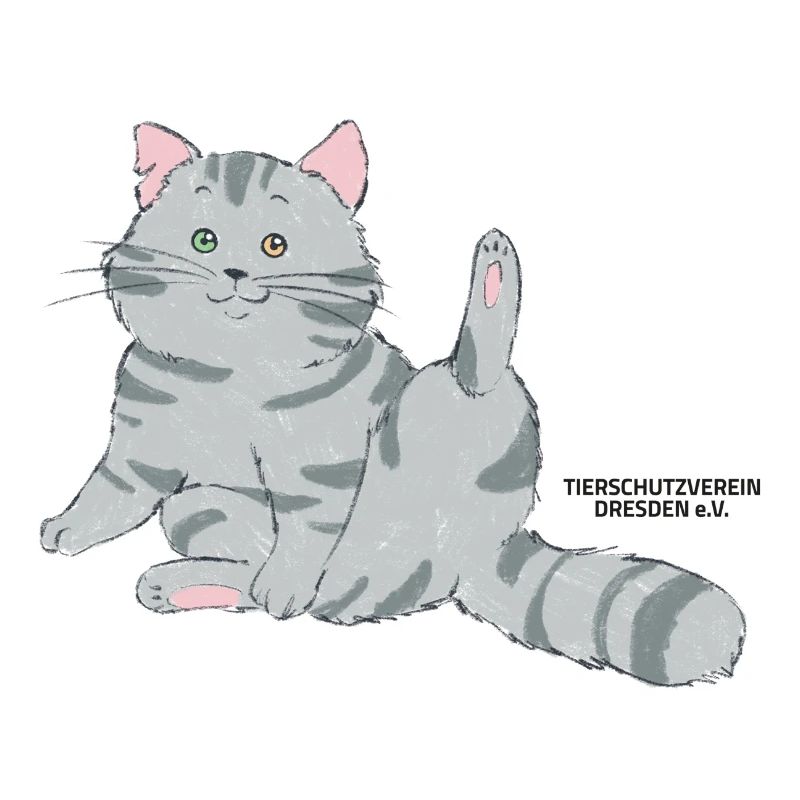 🐾 Grau getigerte Katze🐱