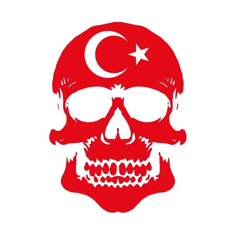 Turkey Skull