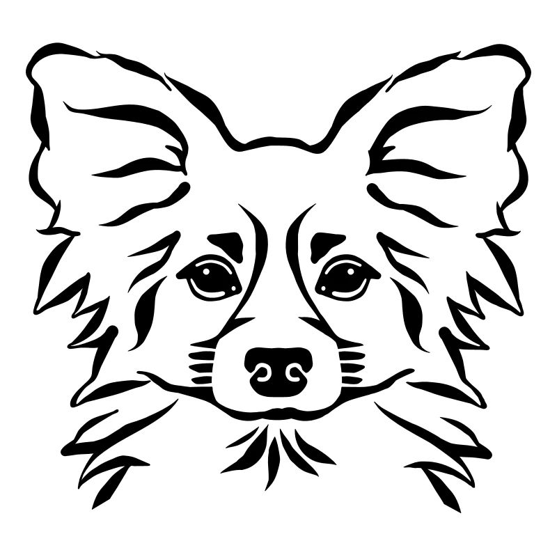 Papillon