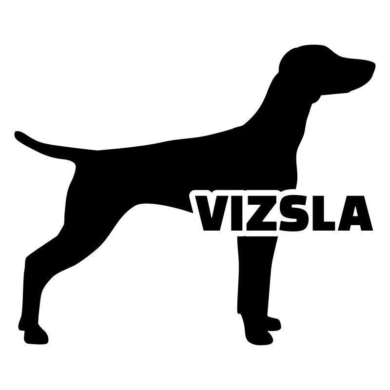 Vizsla
