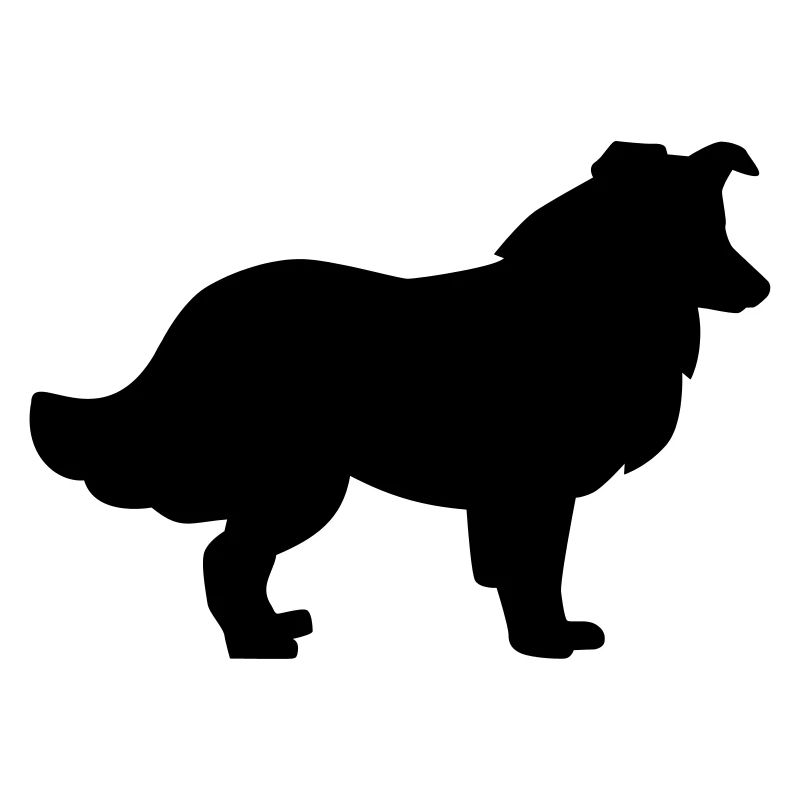 collie